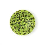 Ciotola 13 cm # 003 - immagine 2