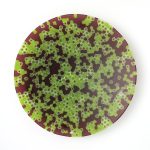 Piatto 24 cm # 004 - immagine 2