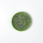 Piatto 11 cm # 011 - immagine 2